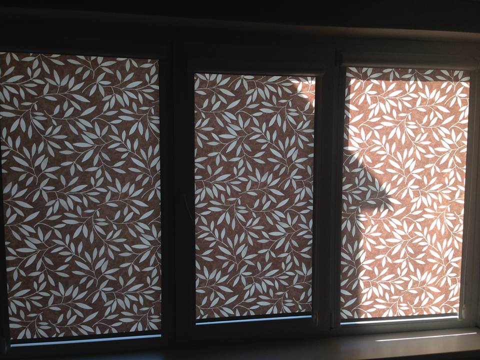 OLIVE GREY — neitrāls tonis žaluzijām